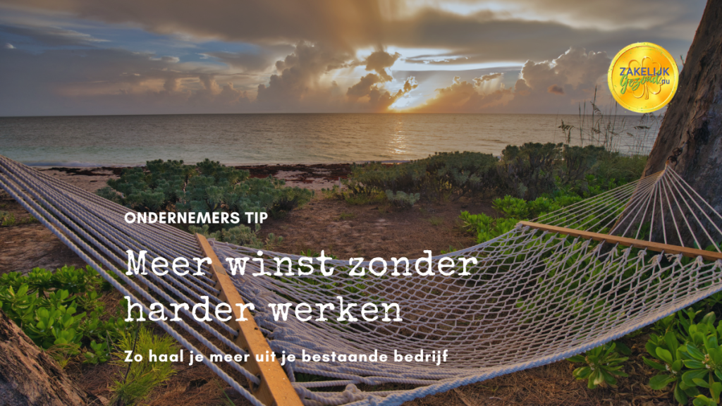 Wil je meer winst zonder harder werken? Voorkom de valkuil van groeiende werkdruk en ontdek hoe je slimmer stuurt op resultaat en grip op je cijfers krijgt.